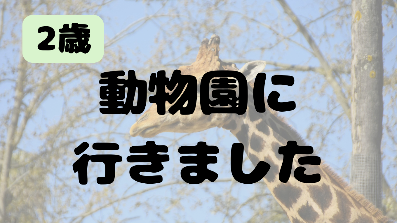 動物園に行きました