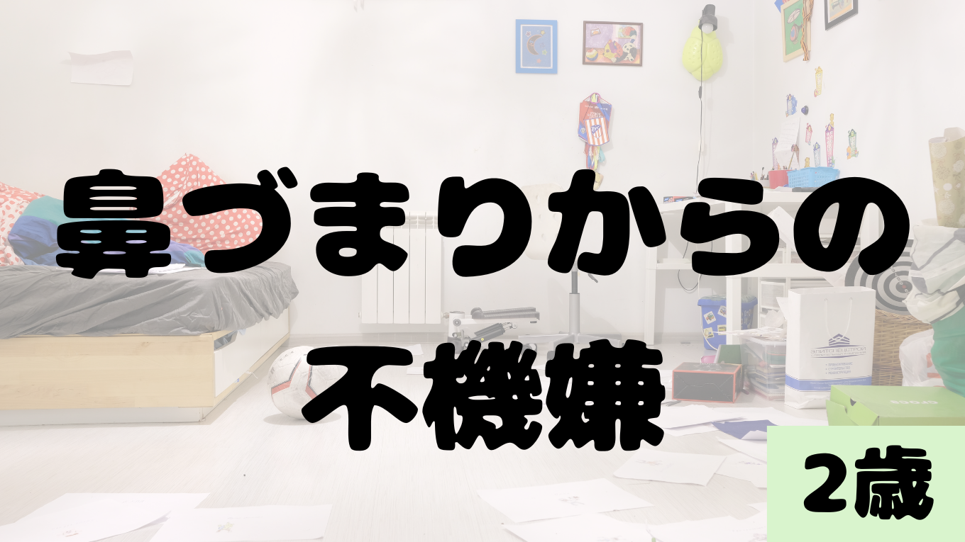 鼻づまりからの不機嫌コアラ君